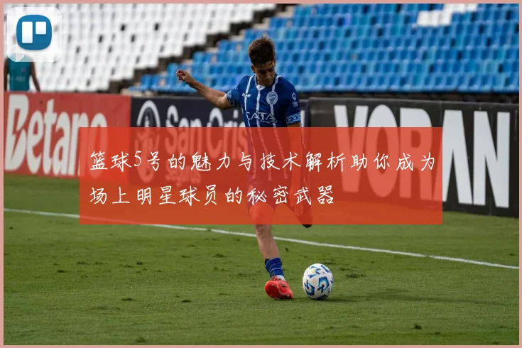 篮球5号的魅力与技术解析助你成为场上明星球员的秘密武器