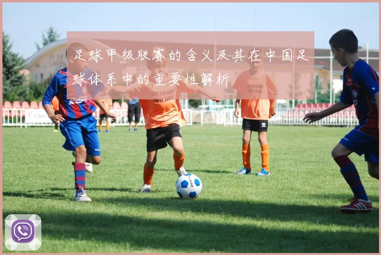足球甲级联赛的含义及其在中国足球体系中的重要性解析
