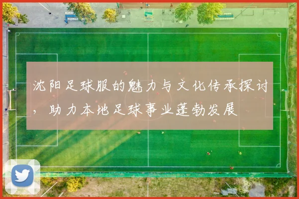 沈阳足球服的魅力与文化传承探讨，助力本地足球事业蓬勃发展