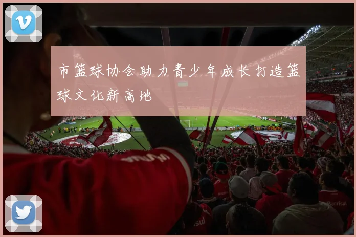 市篮球协会助力青少年成长打造篮球文化新高地