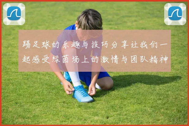 踢足球的乐趣与技巧分享让我们一起感受绿茵场上的激情与团队精神